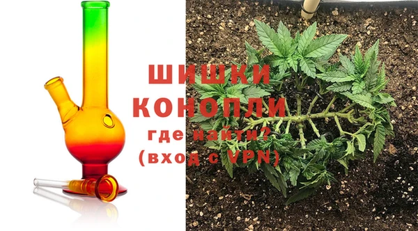 гашиш Богданович