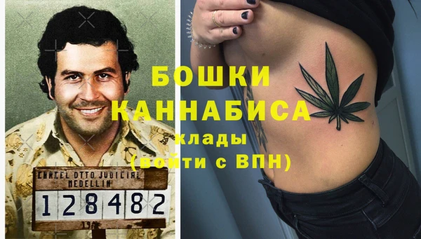гашиш Богданович