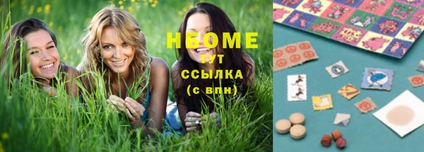 гашиш Богданович