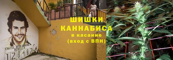 гашиш Богданович