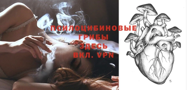 меф Богородск