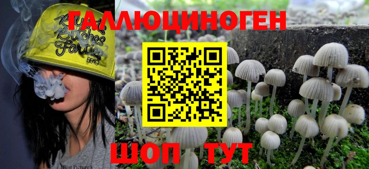 Псилоцибиновые грибы Psilocybe  Вход с VPN  цена наркотик  Среднеуральск 