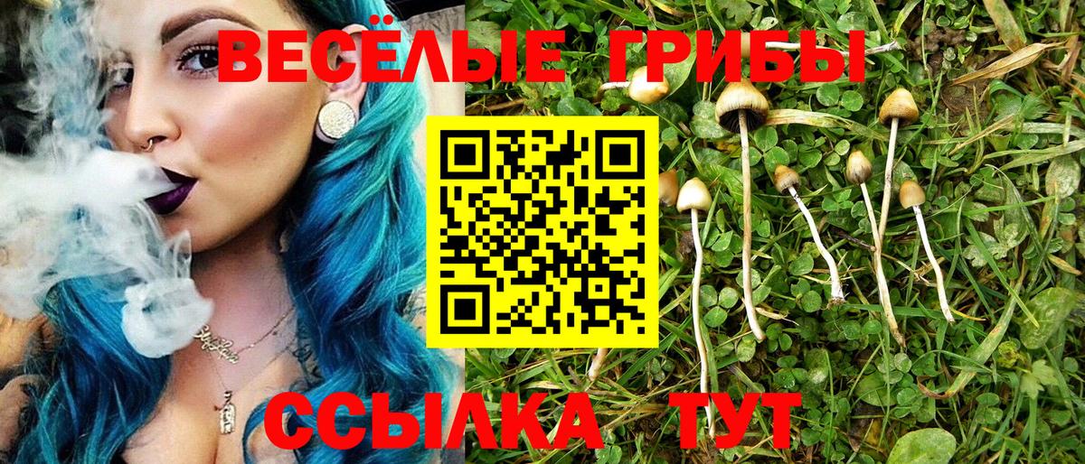 Псилоцибиновые грибы Magic Shrooms Среднеуральск